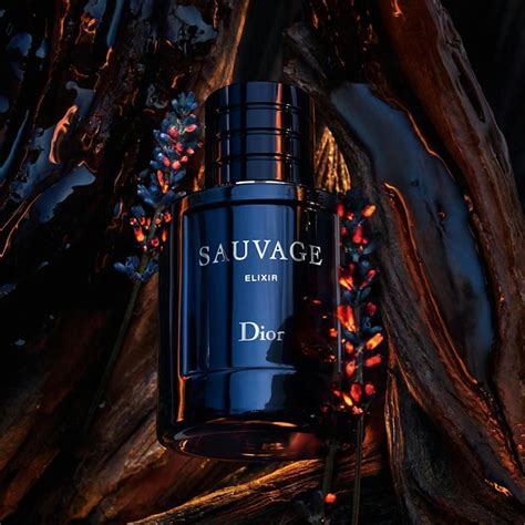 dior elixir perfume shop|Dior sauvage elixir best price.